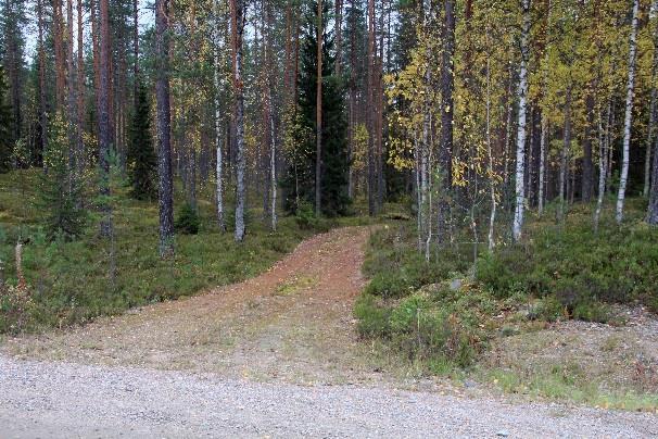 Pääosin polku kulkee aivan rantaviivaa, etelänpuolinen käy välillä tiellä