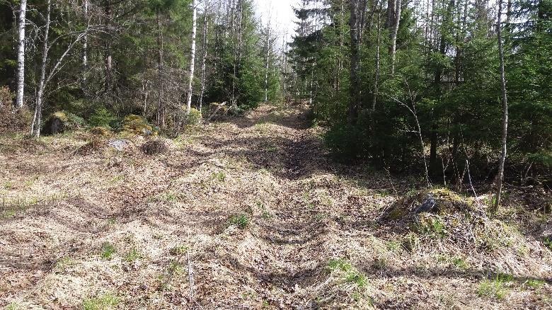 viitta, joka haalistunee ja putoaa aikanaan pois. Tästä jatkuu polkujuoksun vähän käytetty ura.