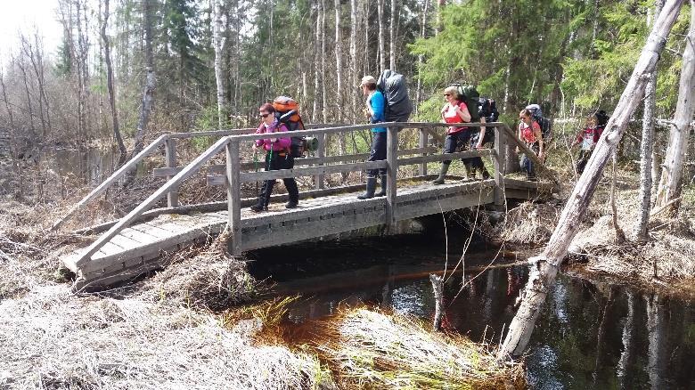 jatkuu selvänä viivasuorana, mutta loppupäästä helposti pusikoituvana kulku-urana