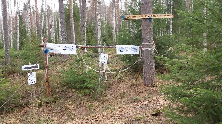 Vajaan 500m päässä polku tulee Y-risteykseen, jossa on Vuokatti Trail Challengen