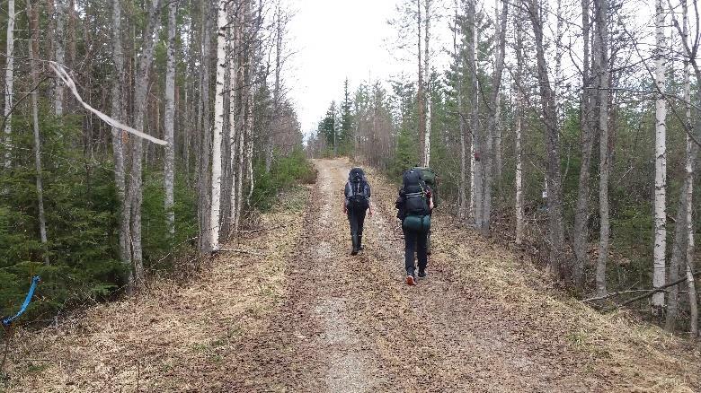 800m päässä poiketaan metsäautotiellä lyhyt pätkä vasemmalle, jatko ylämäkeen