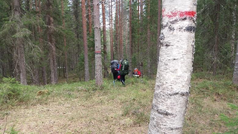 270m päässä reiluhkon alamäen jälkeen vasemmalle kääntyvässä mutkassa