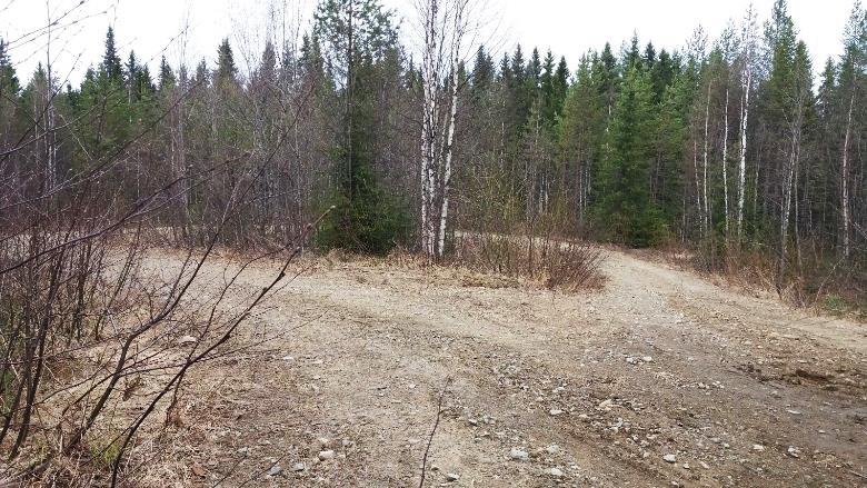 Seuraa suo-osuus, jossa käännytään oikealta tulevalle vahvemmalle