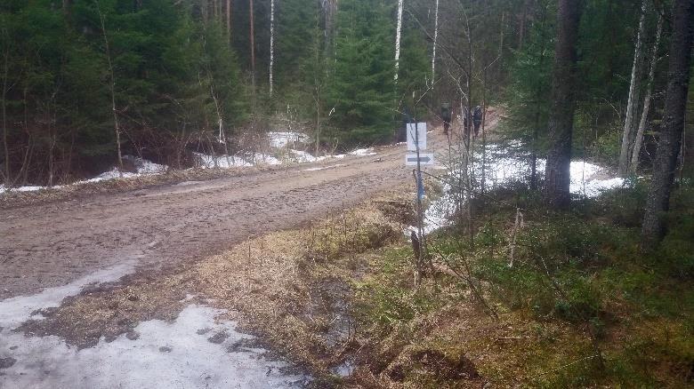 Metsäautotien silmukan tyvessä ylitetään tie suoraviivaisesti.