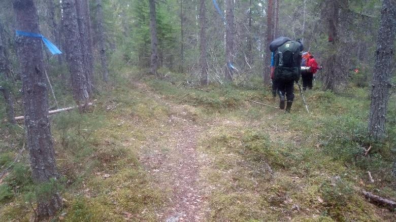 Peurajärven tullessa polkujen risteyksessä näkyviin, valitaan rantaan