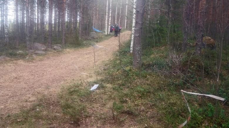 Rannasta noustaan töyräs, jonka jälkeen tullaan mökkitielle.