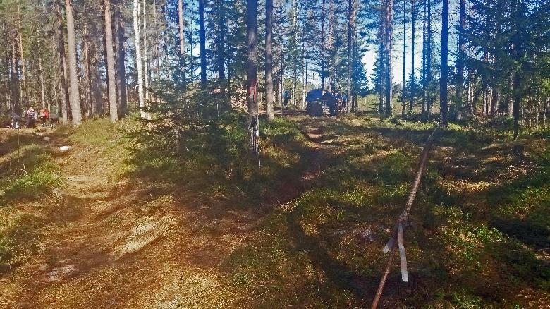 vieressä olevan erämajan oikeaa puolta kohti hakkuuaukeaa.