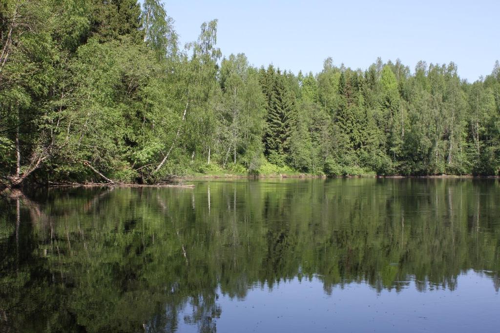 S U U N N IT T EL U JA T EK N IIK K A UPM KYMMEN OYJ Tohmajärven Jänisjoen ranta-asemakaavan