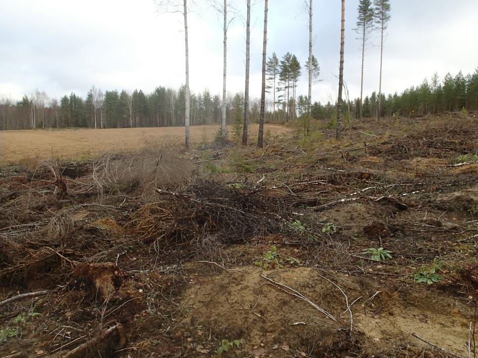 6 Muinaisjäännös KEURUU HEPOLAMPI SE Mjtunnus: Rauh.