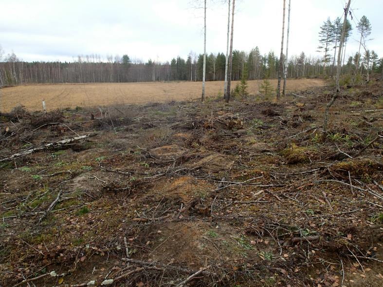 Pajulammen ja Hepolammen välisellä kannaksella sijaitsee v.