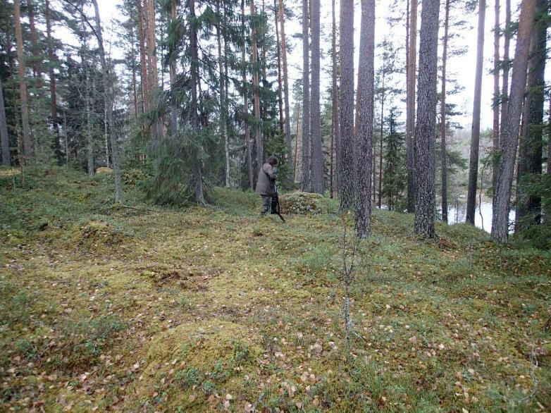 Teimme tasanteelle viitisen koekuoppaa hiekka-soraiseen maaperään, mutta emme havainneet mitään merkkejä mahdollisesta kivikautisesta asuinpaikasta.