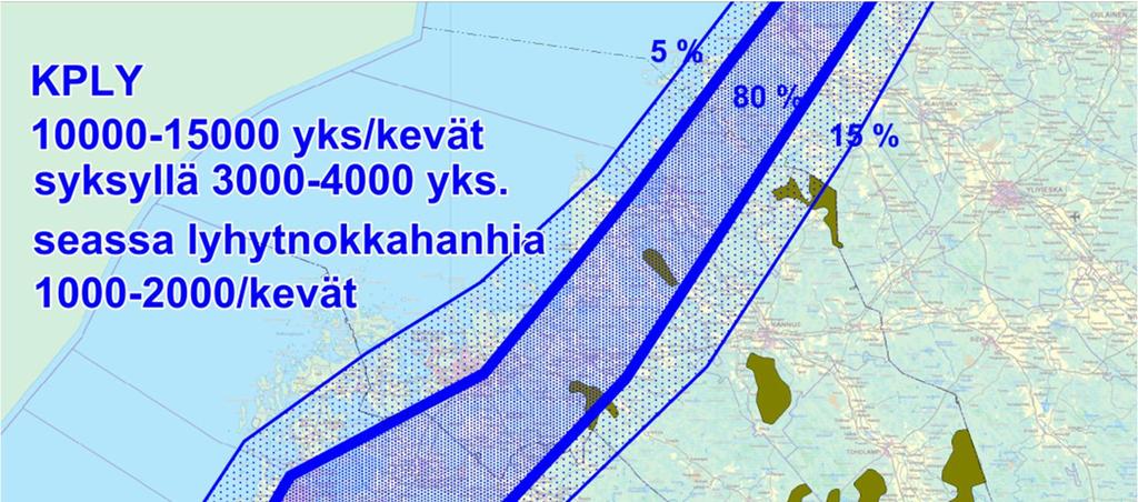 10 Kuva 4. Metsähanhien arvioitu kevätmuuttoreitti (Ramboll 2013). Maakuntakaavan mukainen rajaus Mutkalammin alueesta kartan oikeassa yläreunassa.