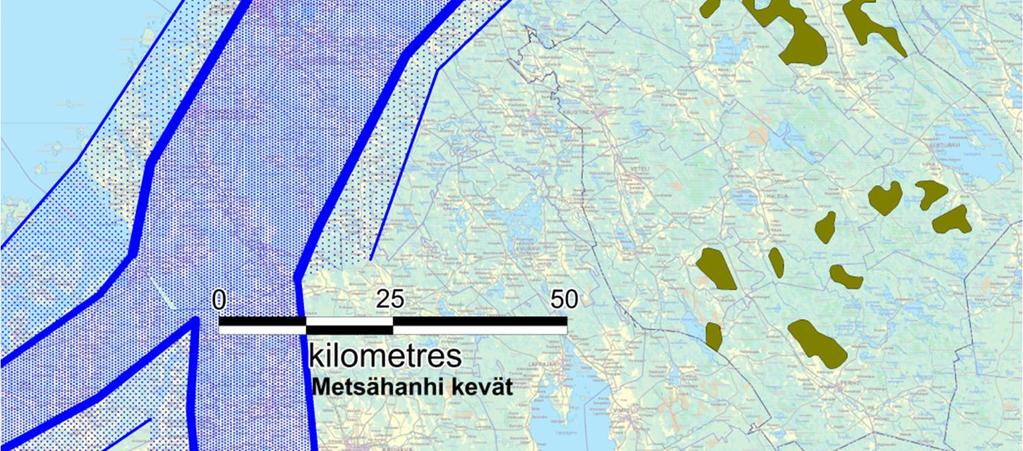 Yli sadan metsähanhen muuttomääriä on kirjattu Tiira-havaintorekisteriin vain neljä syksyltä 2011, enimmillään 336 hanhea Kalajoen Pitkäsenkylän pelloilta.