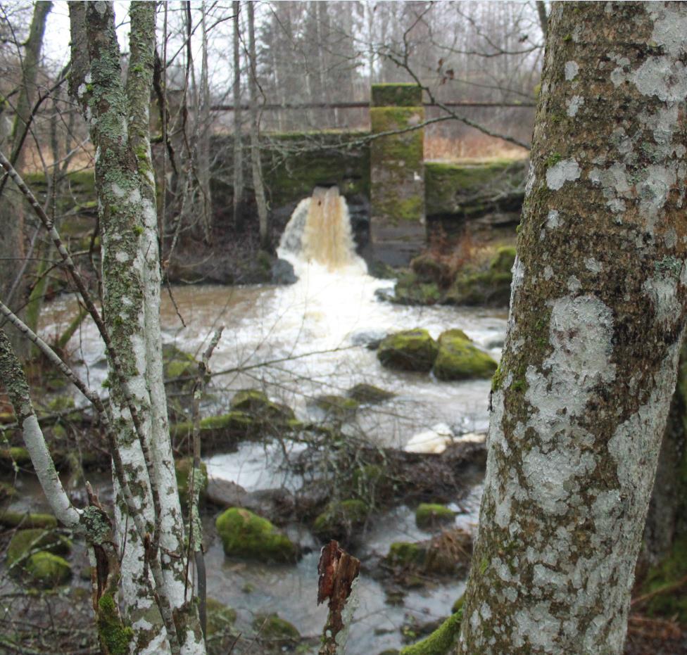 1,67 miljoonaa euroa Omarahoitusosuus (40 %) Metso-ostot ja rauhoitukset (n.