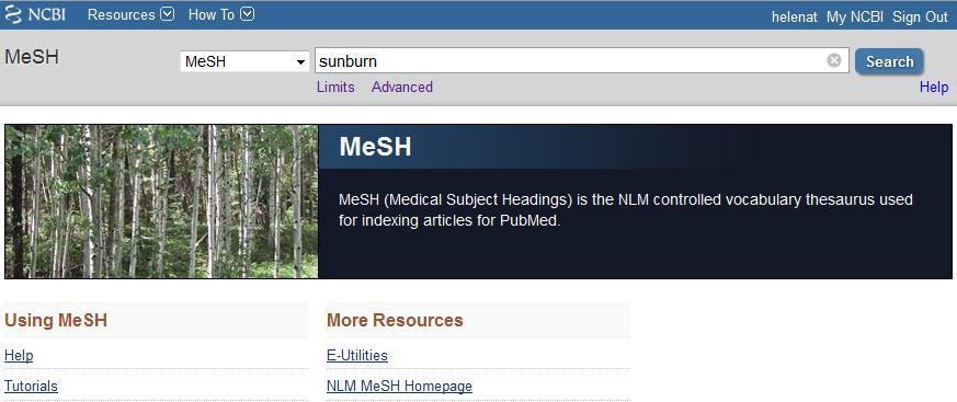 Restrict to MeSH Major Topics