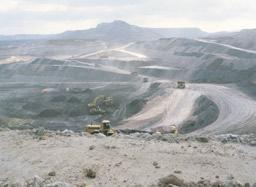 Vuonna 1999, kun kaivostoiminta alkoi Espanjassa hiipua, Endesan osuus Espanjan kotimaisesta kivihiilen kokonaistuotannosta oli yksi kolmannes.