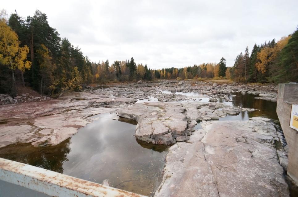 213 Nousee 1638 lohikalaa Voimalaitos Koivukosken kahdella kalaportaalla vaelluskaloille näyttäisi Säänn.pato kelpaavan lähinnä vain säännöstelypadon porras 2-45 m3/s - Aquarius 216 1 m3/s -?