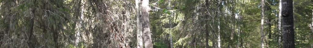 Tällaisia ovat Sammakkosuon pohjoispuoliset kohteet (6b ja 6c), sekä Pirulanharjunsuo (6a), Sammakkosuon kaakkoispuolen suokohde (6d) sekä Orastinvaaran pohjoispuolelle sijoittuva pienialainen