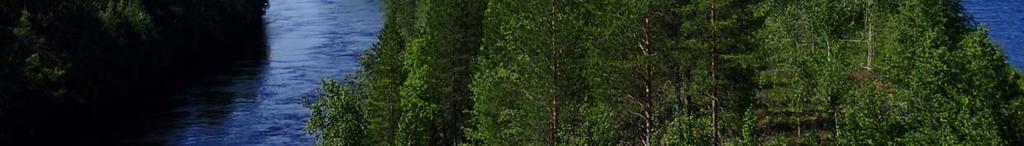 huomioitavia luontokohteita ja lajistoa sekä pesimä- ja muuttolinnustoa.