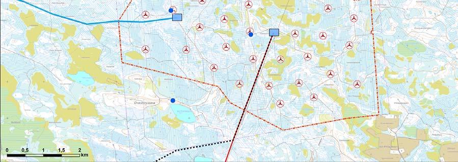 Elokuun kartoituskierroksilla havaittiin neljä yksittäistä yksilöä, kaikki saalistelemassa metsäautoteiden yllä. On myös mahdollista, että kaikki havainnot koskevat jopa samaa yksilöä.