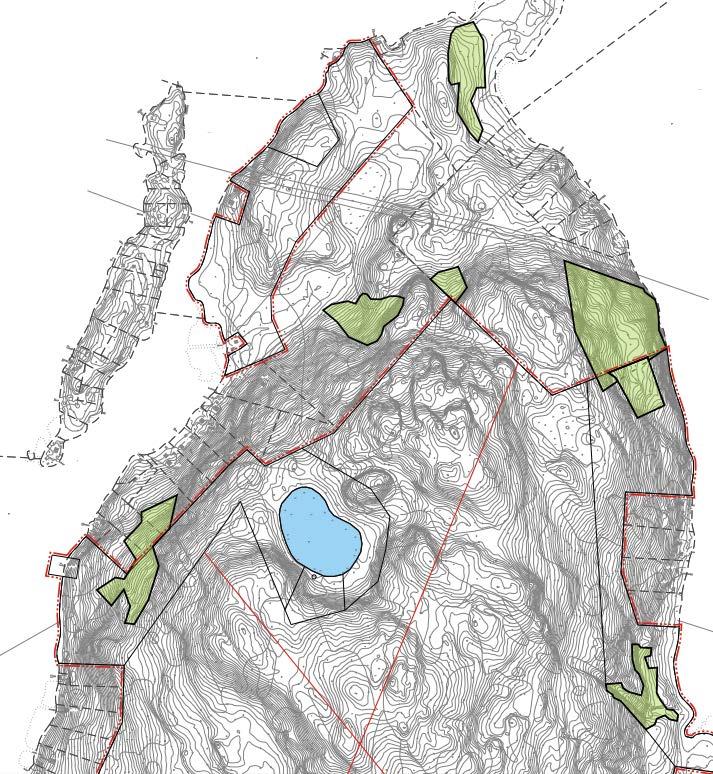 JYVÄSKYLÄN KAUPUNKI VUORITSALON RANTA-ASEMAKAAVAN MUUTOS, LAAJENNUS JA OSITTAINEN KUMOAMINEN KAAVAEHDOTUS 2.12.2016, TARK. 4.8.2017 KAAVASELOSTUS Kuva 8.