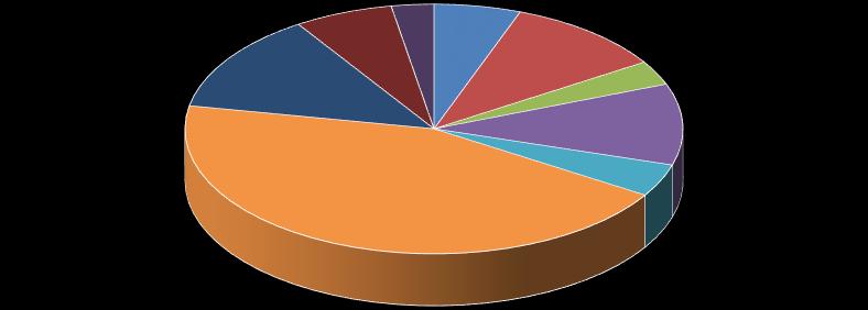 Toimintakatteen jakautuminen tulosyksiköittäin 2016-575 318; -6 % -247 006; -3 % -504 807; -6 % -931 113; -10 % -1 152 948; -13 % -281 781; -3 % -943 154; -11 % -3 946 620; -44 % -378 046; -4 %