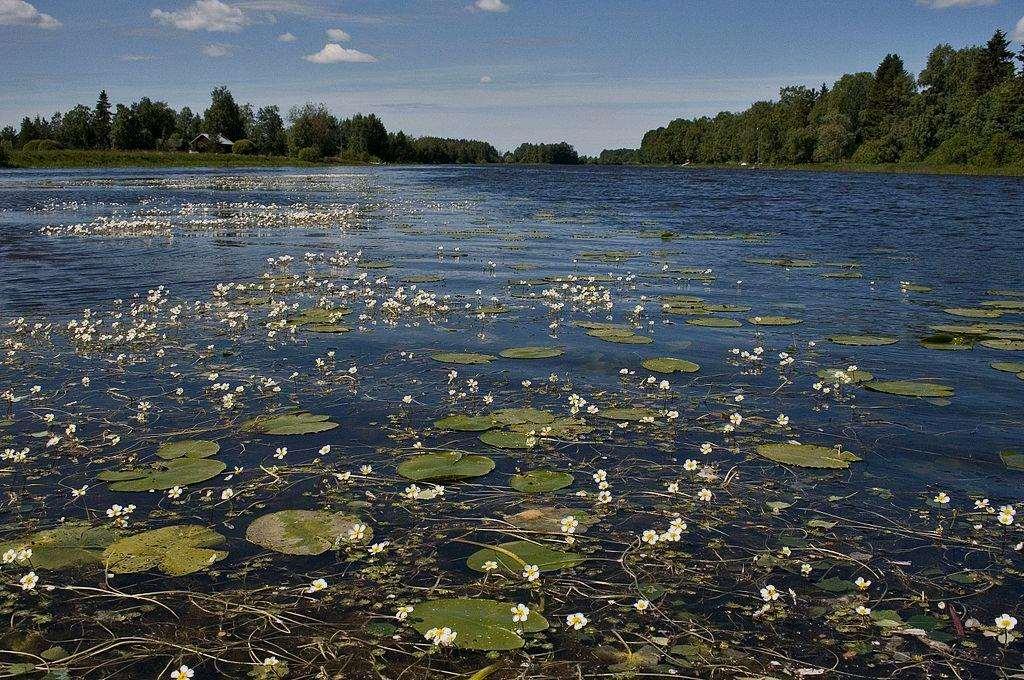 Julkinen keskustelu riskitietoisuuden ja tiedottomuuden rakentajana Case: Kokemäenjoen vesistö Jari Lyytimäki Suomen ympäristökeskus Sp: