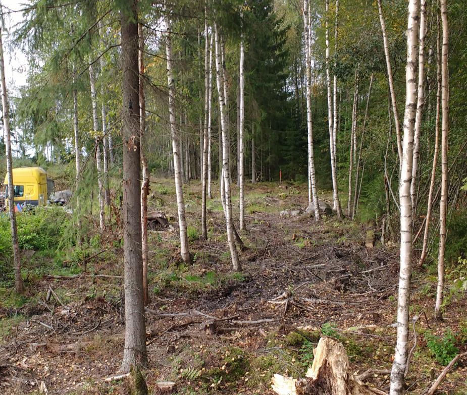 16 (19) Rakentamiselle osoitettua rakennusoikeutta kaava-alueella on yhteensä 3830 kerrosneliömetriä tehokkuusluvulla e=0,3 ja suurin sallittu kerroslukumäärä on kaksi (II).