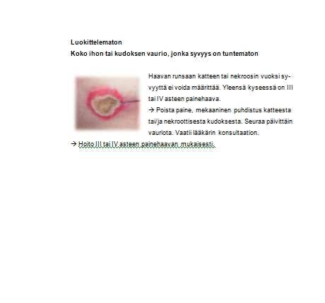 61 Liite