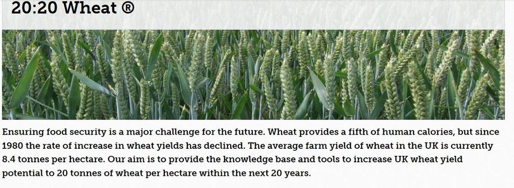 1. Maximizing yield potential. 2. Protecting yield potential. 3.