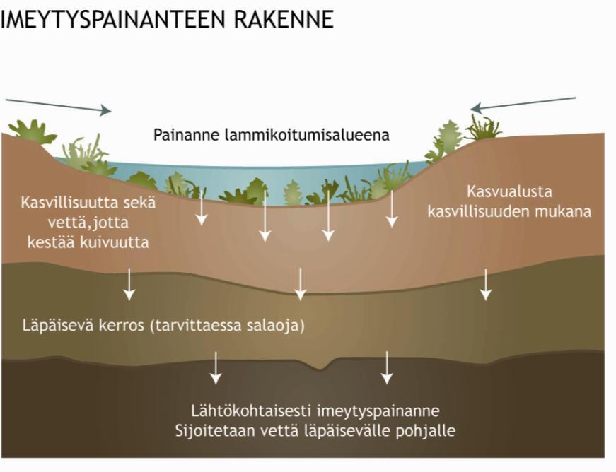 31 4.1.2.2 Imeyttävät ja viivyttävät altaat Kuva 10. Imeytyspainanteen rakenne. Kuvan on piirtänyt Jenni Hautamäki lähteen Ahponen 2003 mukaan.