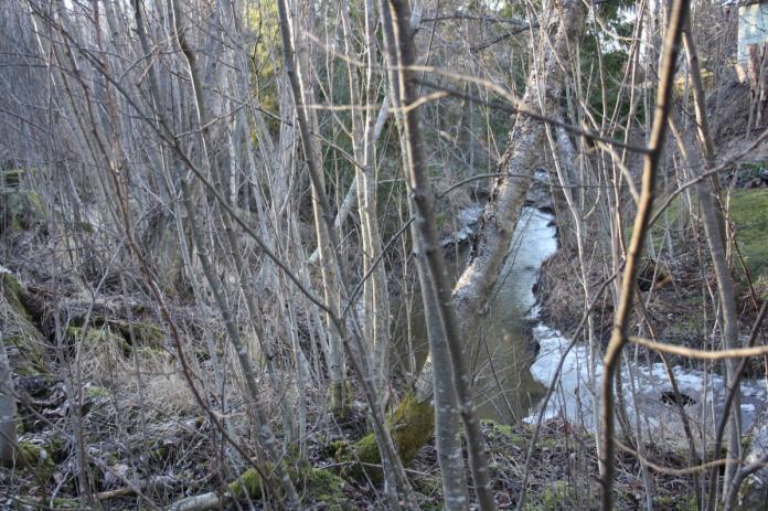 88 Kuva 40. Turkimusoja on ympäristöllisesti arvokas ja suojeltu puro, jonka olemassaolosta soisi nauttivan kaikkien Hämeenkyrön asukkaiden.