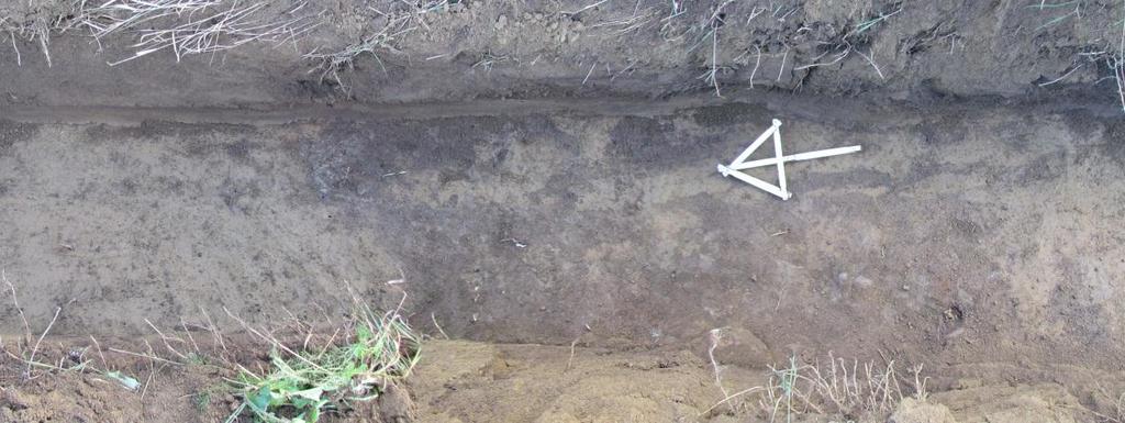 (kuva 4). Pääsääntöisesti tien eteläpuolisella alueella ei ollut havaittavissa arkeologisesti mielenkiintoisia ilmiöitä: peltokerroksen alla oli useimmiten puhdasta harmaata hiesua.