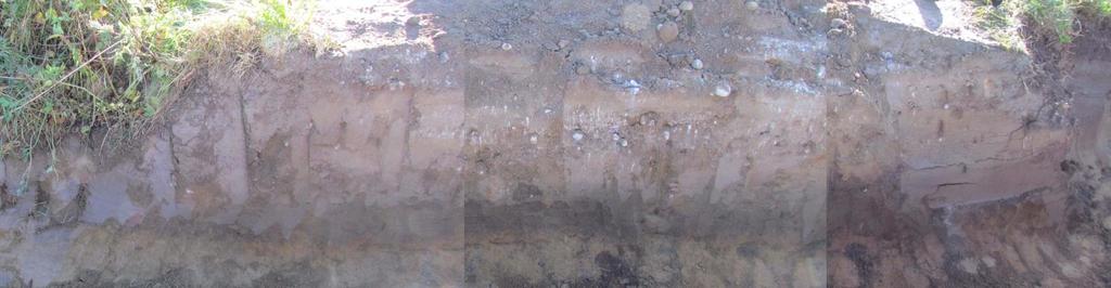 (Pälkäne Tiililä, maakaapelointityön arkeologinen valvonta 2012:8) kuva 10.