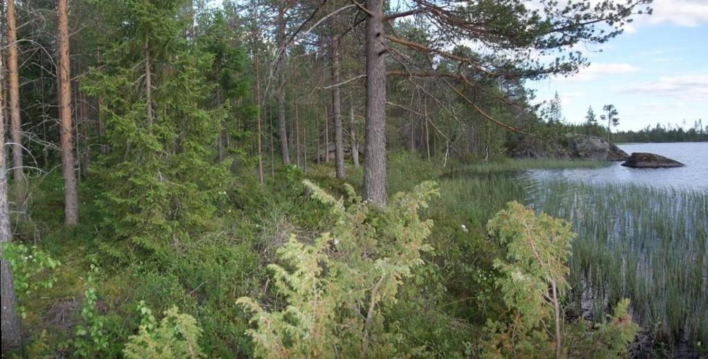 17 Kaava-alueen vieressä oleva Lipukkajärvi on varsin pieni ja on pinta-alaltaan n. 110 ha. Sen pituus on n. 2.7 km ja leveys n. 200-600 m. Kaava-alueen kohdalla leveyttä on n. 300-600 m.