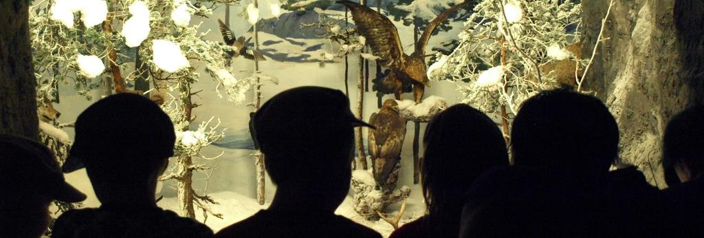 1. lk velvoittava vierailu Biologinen museo Luontoretkellä museossa Opetellaan havainnoimaan luontoa ja eläimiä.