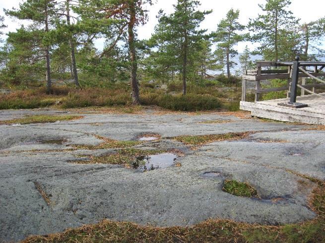 in i sin omgivning och sparar på naturen.