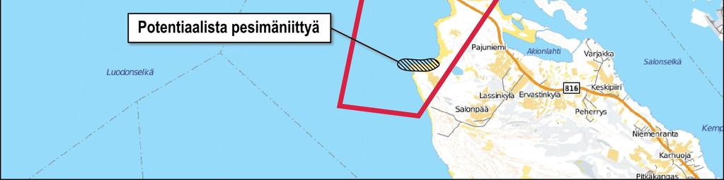 Näillä alueilla jääeroosion kannalta herkkiä lajeja on lähinnä etelänsuosirri, jonka osalta kesän 2011 maastohavainnoinnissa todettiin reviirit