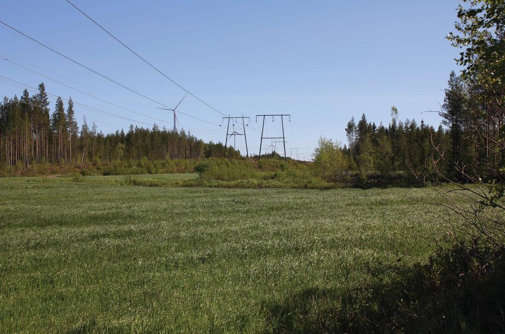 F Kuvauspiste 5. Kesänäkymä Hanhelanperän kylältä kohti Kopsan hankealuetta.