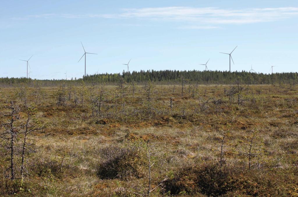 A E F Kuvauspiste 6. Näkymä Lukkaroisentieltä kohti Kopsan hankealuetta.