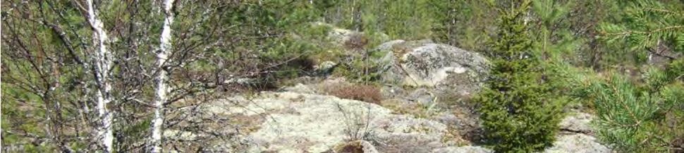 Ab Asiakirjatyyppi Luontoselvitys