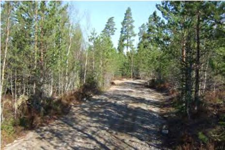 7 Kuva 2-7. Oikealla olevassa kuvassa olevaa metsätietä voimalan 4 kohdalla. Vasemmalla näkymä muutama sata metriä etelämpää kuvattuna.