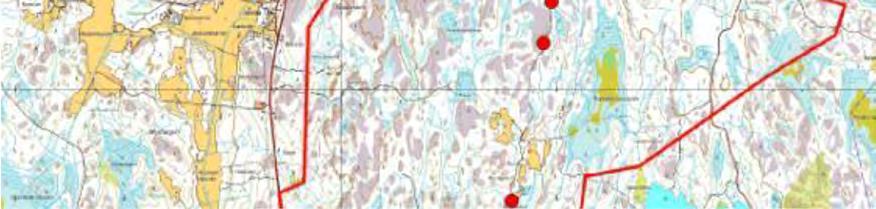 Itse hankealue on yhtenäistä metsää, jollaista muuttavat lepakot eivät mielellään lähde ylittämään.