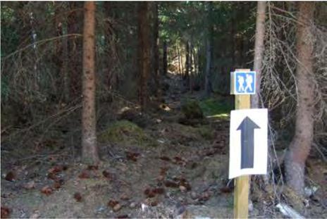 kuusikkoon, jonka läpi kulkee ulkoilureitti. 2.