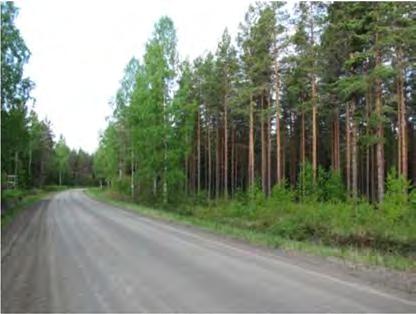 Pensaskerroksessa on hieman katajaa ja etenkin ojien lähettyvillä on runsaasti lehtipuuvesakkoa. Rakentamisalueen pohja on lähinnä mustikkatyypille (MT) ominaista.