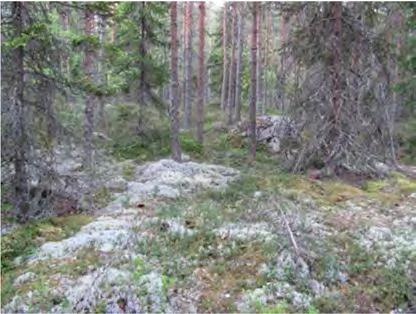 6 Tuulivoimala 3 Tuulivoimala sijoittuu Sandvikintien länsipuolelle, noin metsästysseuran majan kohdille.