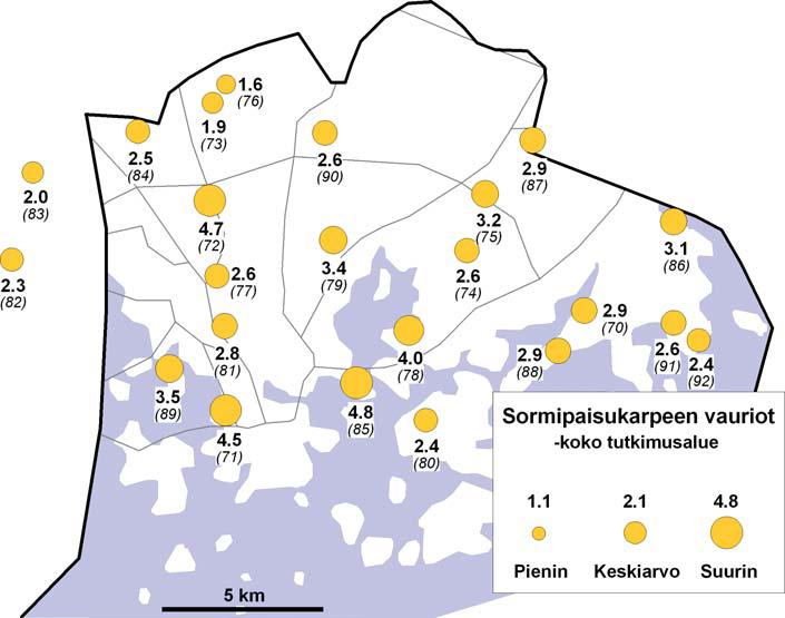 Liite 1. Ilmanlaadun bioindikaattoriseuranta Helsingin kaupungin alueella Helsingin kaupungin alueella sĳaitsi 23 havaintoalaa, joilta kaikilta ote iin myös neulasnäy eet.