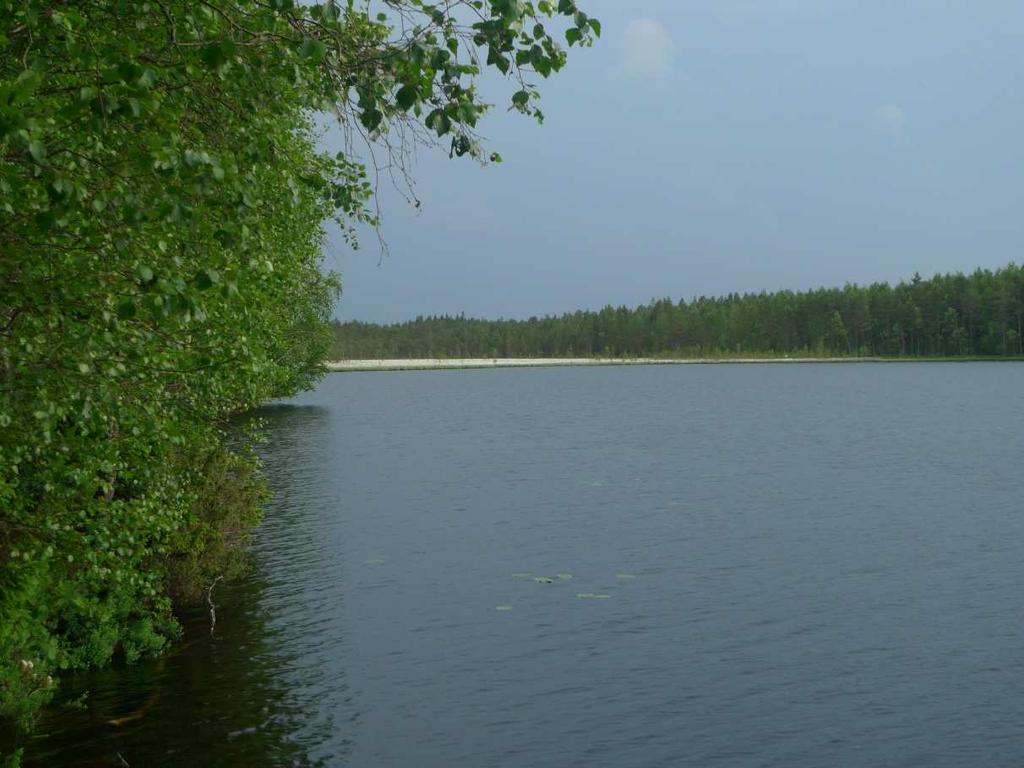 FCG SUUNNITTELU JA TEKNIIKKA OY Luontoselvitykset 6 (16) Vesistöt Hankealueesta itään sijaitsee kaksi järveä, pohjoisempi Nörrträsket ja eteläisempi Kvarnträsket.