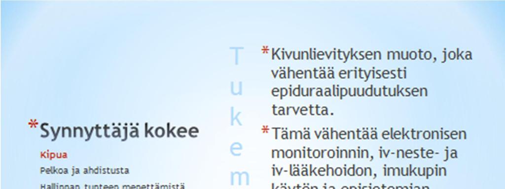 Liite 1 1