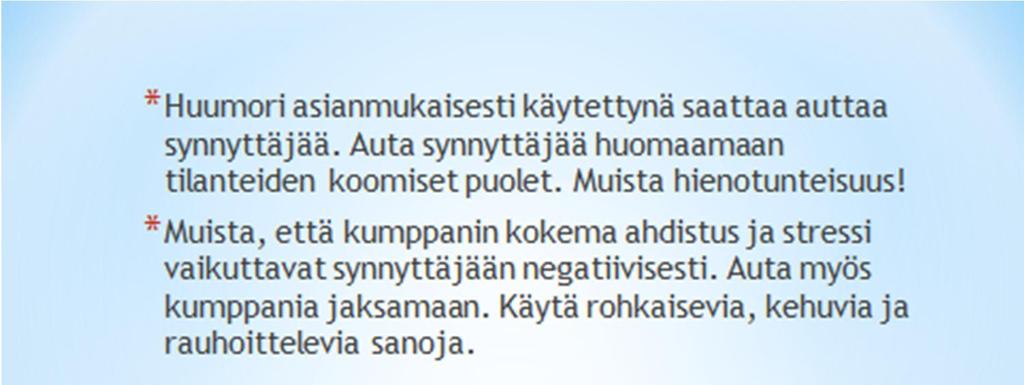 Liite 1